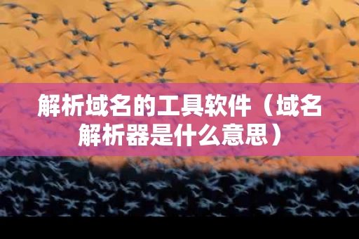 解析域名的工具软件（域名解析器是什么意思）