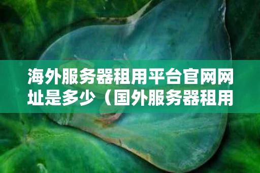 海外服务器租用平台官网网址是多少（国外服务器租用价格表）