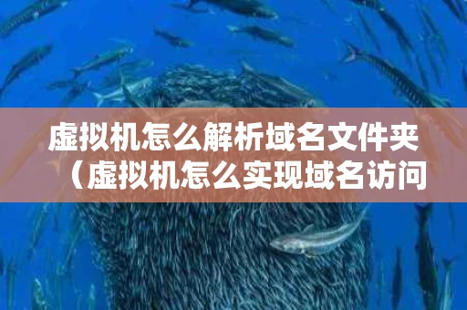 虚拟机怎么解析域名文件夹（虚拟机怎么实现域名访问网页）