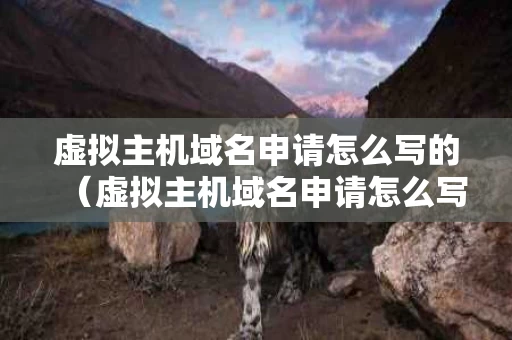 虚拟主机域名申请怎么写的（虚拟主机域名申请怎么写的啊）