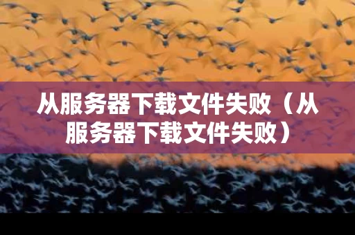 从服务器下载文件失败（从服务器下载文件失败）