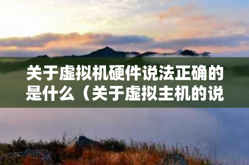 关于虚拟机硬件说法正确的是什么（关于虚拟主机的说法正确的是）