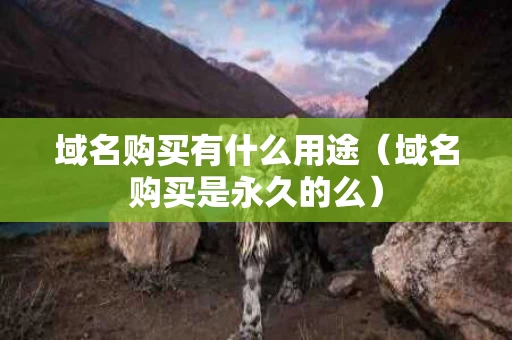 域名购买有什么用途（域名购买是永久的么）