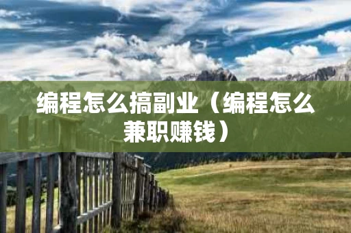 编程怎么搞副业（编程怎么兼职赚钱）