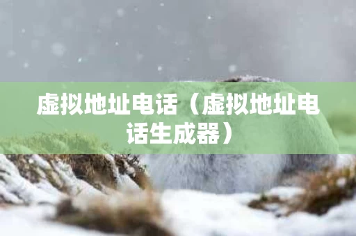 虚拟地址电话（虚拟地址电话生成器）