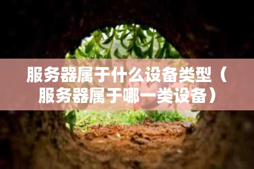 服务器属于什么设备类型（服务器属于哪一类设备）