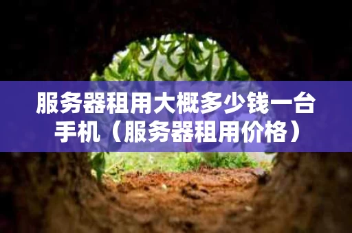 服务器租用大概多少钱一台手机（服务器租用价格）