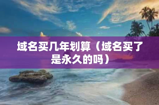 域名买几年划算（域名买了是永久的吗）