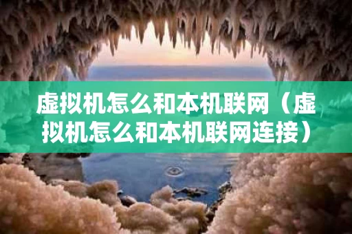 虚拟机怎么和本机联网（虚拟机怎么和本机联网连接）