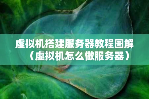 虚拟机搭建服务器教程图解（虚拟机怎么做服务器）