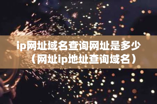 ip网址域名查询网址是多少（网址ip地址查询域名）