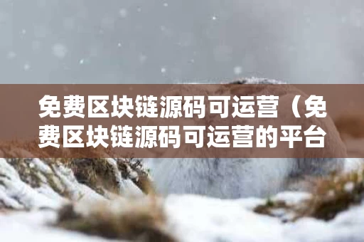免费区块链源码可运营（免费区块链源码可运营的平台）