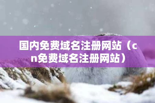 国内免费域名注册网站（cn免费域名注册网站）