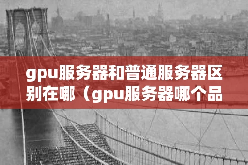 gpu服务器和普通服务器区别在哪（gpu服务器哪个品牌好）