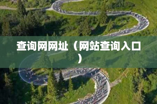 查询网网址（网站查询入口）