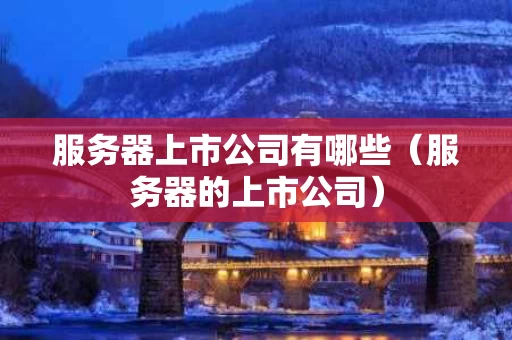 服务器上市公司有哪些（服务器的上市公司）