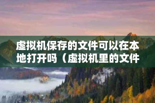 虚拟机保存的文件可以在本地打开吗（虚拟机里的文件存到哪里了）