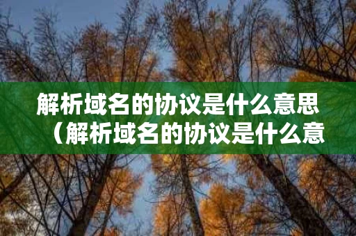 解析域名的协议是什么意思（解析域名的协议是什么意思啊）