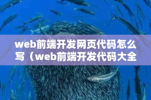 web前端开发网页代码怎么写（web前端开发代码大全）