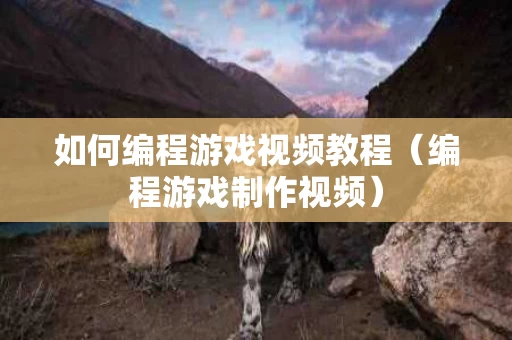 如何编程游戏视频教程（编程游戏制作视频）