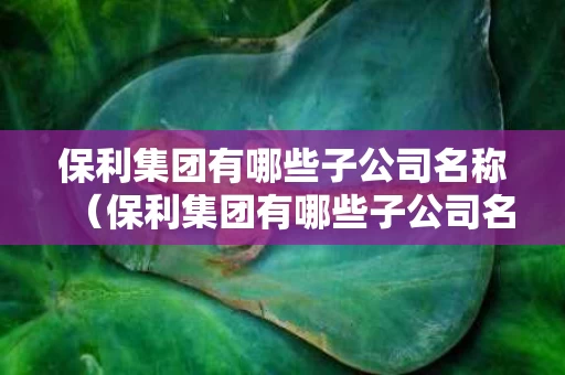 保利集团有哪些子公司名称（保利集团有哪些子公司名称和地址）