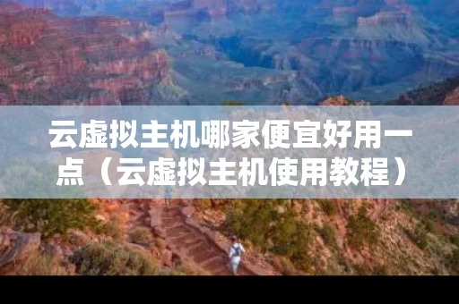 云虚拟主机哪家便宜好用一点（云虚拟主机使用教程）