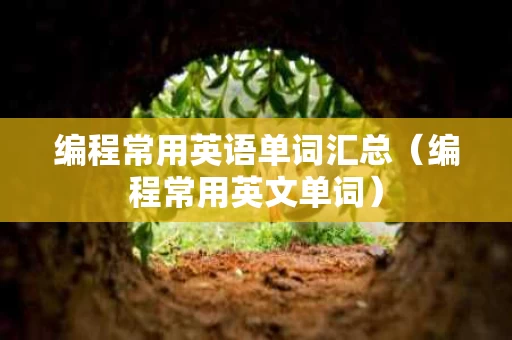 编程常用英语单词汇总（编程常用英文单词）