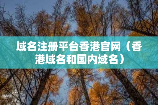 域名注册平台香港官网（香港域名和国内域名）