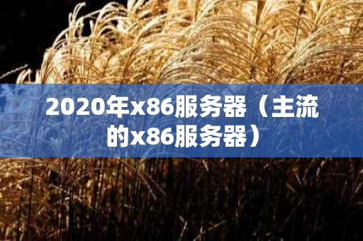 2020年x86服务器（主流的x86服务器）