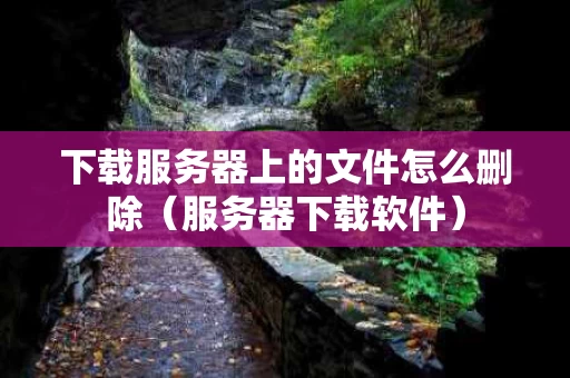 下载服务器上的文件怎么删除（服务器下载软件）
