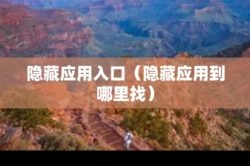 隐藏应用入口（隐藏应用到哪里找）