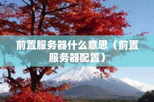 前置服务器什么意思（前置服务器配置）