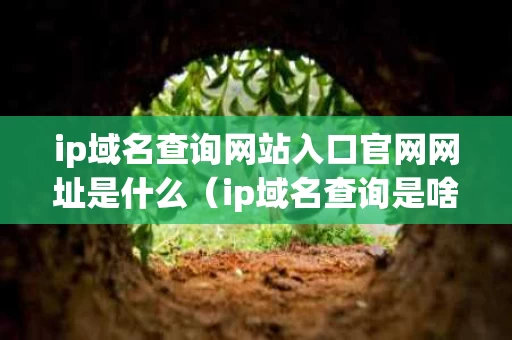 ip域名查询网站入口官网网址是什么（ip域名查询是啥）