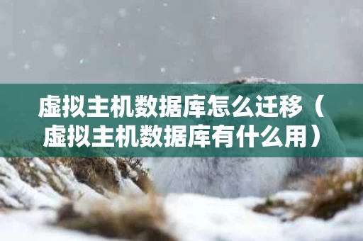 虚拟主机数据库怎么迁移（虚拟主机数据库有什么用）