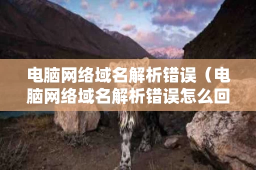 电脑网络域名解析错误（电脑网络域名解析错误怎么回事）
