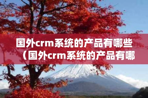 国外crm系统的产品有哪些（国外crm系统的产品有哪些品牌）