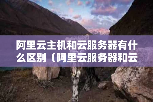 阿里云主机和云服务器有什么区别（阿里云服务器和云虚拟主机）