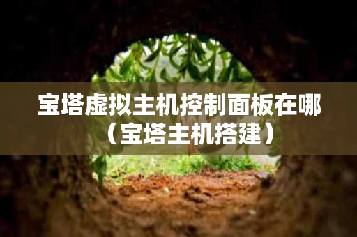 宝塔虚拟主机控制面板在哪（宝塔主机搭建）