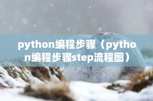 python编程步骤（python编程步骤step流程图）
