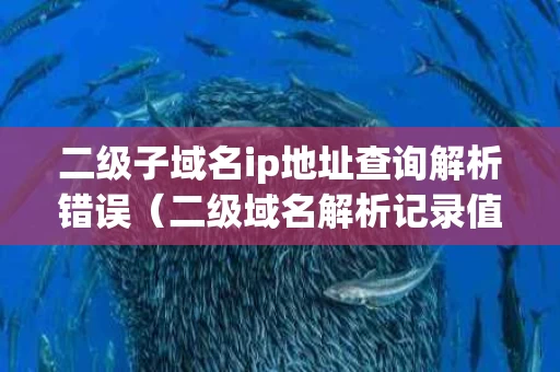 二级子域名ip地址查询解析错误（二级域名解析记录值）