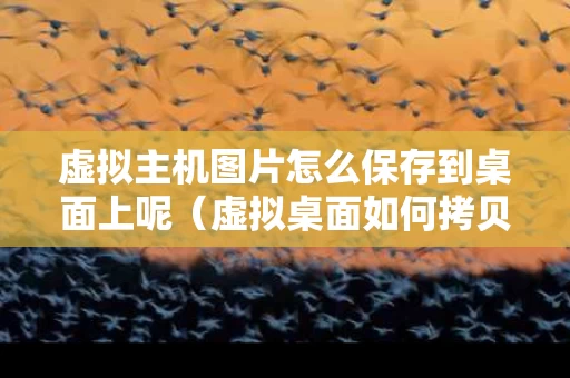 虚拟主机图片怎么保存到桌面上呢（虚拟桌面如何拷贝资料到本地）