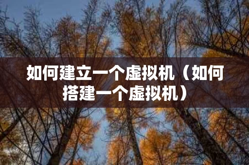 如何建立一个虚拟机（如何搭建一个虚拟机）