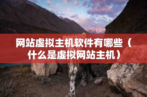 网站虚拟主机软件有哪些（什么是虚拟网站主机）