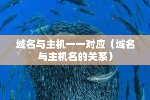 域名与主机一一对应（域名与主机名的关系）