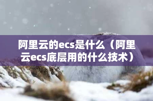 阿里云的ecs是什么（阿里云ecs底层用的什么技术）