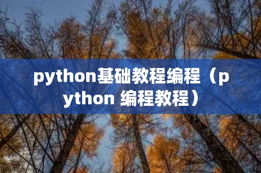 python基础教程编程（python 编程教程）