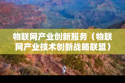 物联网产业创新服务（物联网产业技术创新战略联盟）