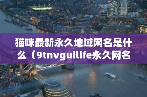 猫咪最新永久地域网名是什么（9tnvguilife永久网名）