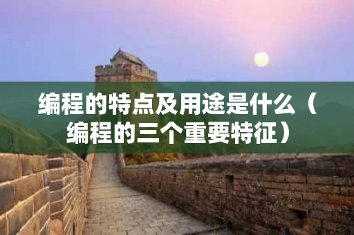 编程的特点及用途是什么（编程的三个重要特征）