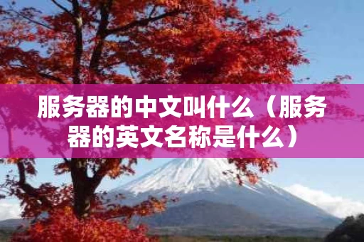 服务器的中文叫什么（服务器的英文名称是什么）